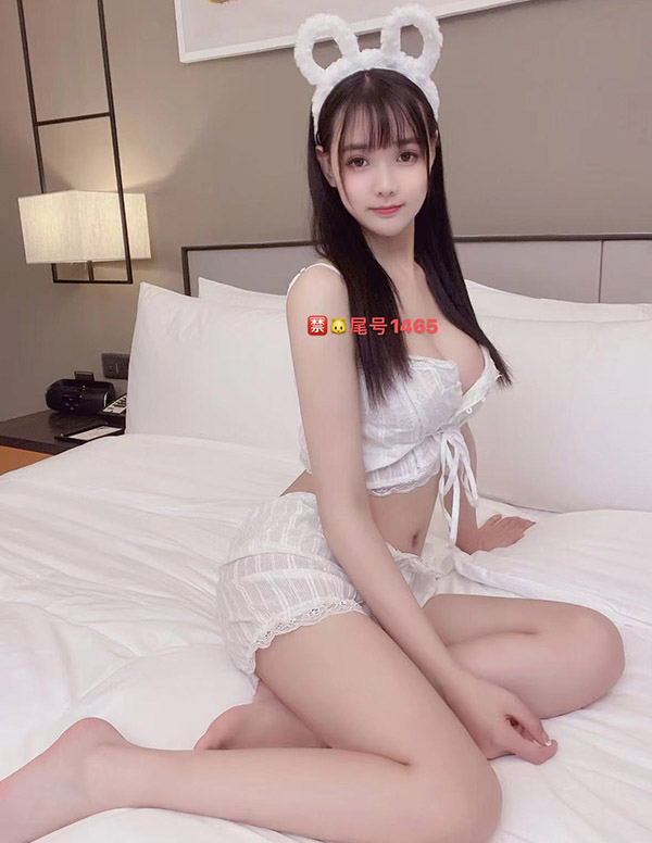 多伦多伴游价格